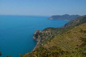 corniglia-1